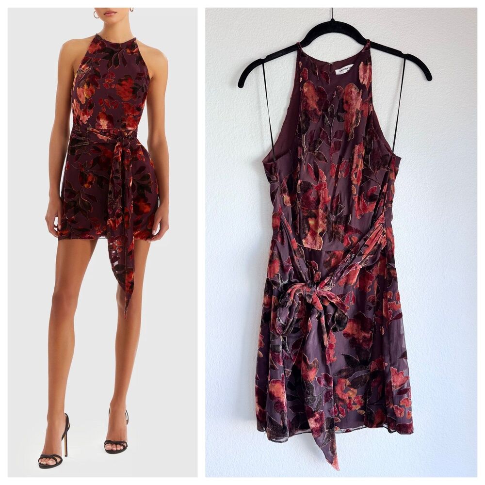 NWOT Amanda Uprichard Sellah Burnout Velvet High Neck Mini Dress in Sorrel Sz S